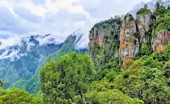 Bangalore, Mysore, Coorg , Ooty & Kodaikanal