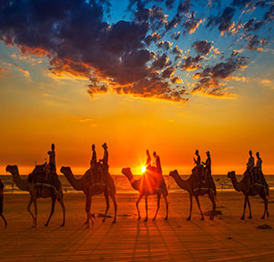 Desert-special-tour-package