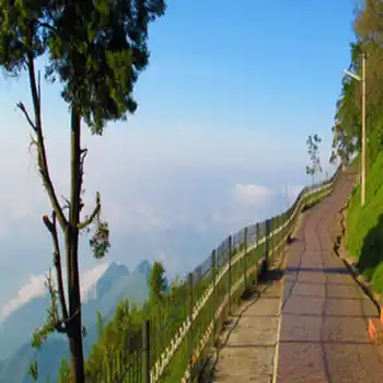 Ooty & Kodaikanal Tour Package