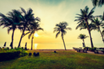 Kerala Tour Package