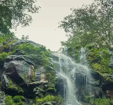 Saputara Tour Package