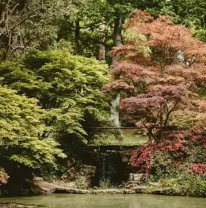 Saputara Tour Package