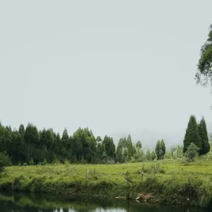 Meghalaya Tour Package