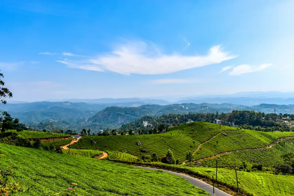 Kerala Tour Package