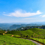 Kerala Tour Package