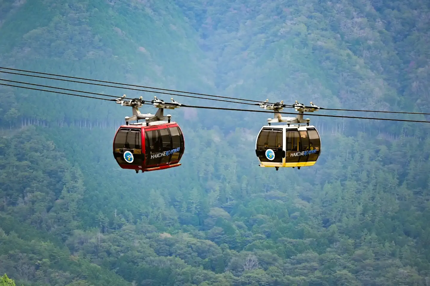 Saputara Tour Package