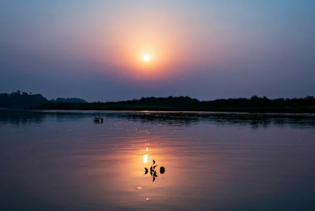 Chitwan Tour Package