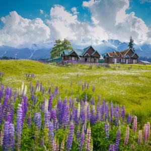 KASHMIR