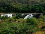 Sasan Gir Tour Package
