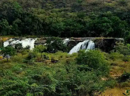 Sasan Gir Tour Package