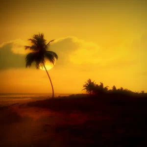 Lakshadweep Tour Package