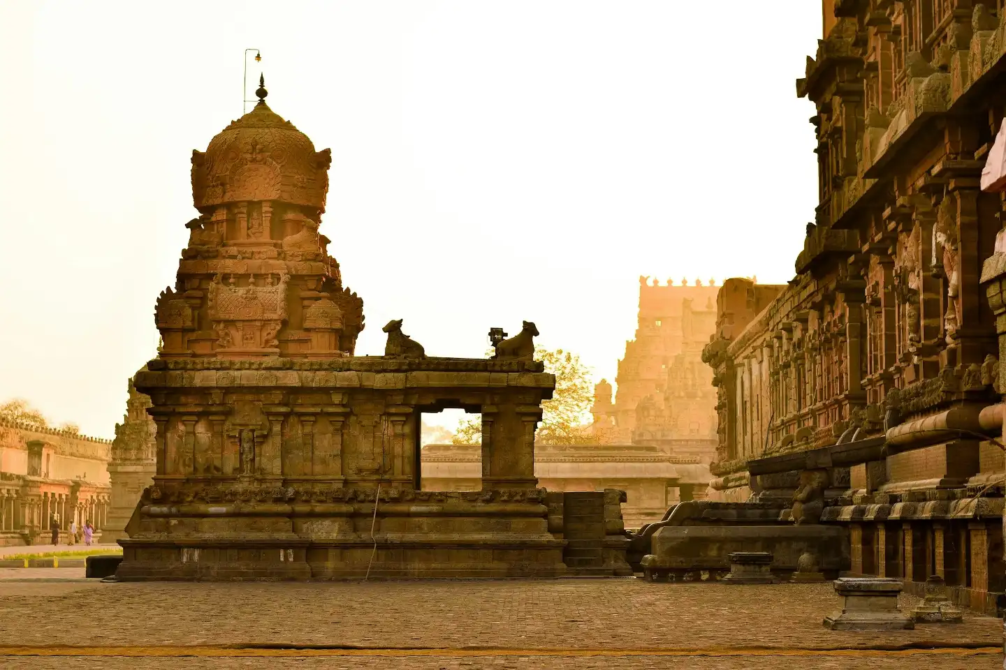 Tamil Nadu Tour