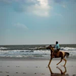 Rann Of Kutch Tour Package