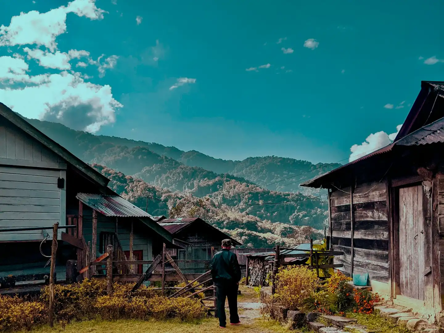 Nagaland Tour Package