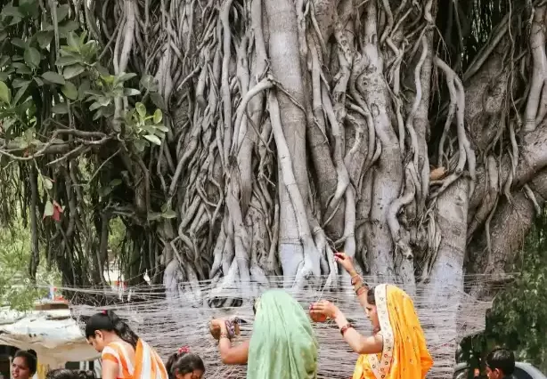 Vadodara Tour Package