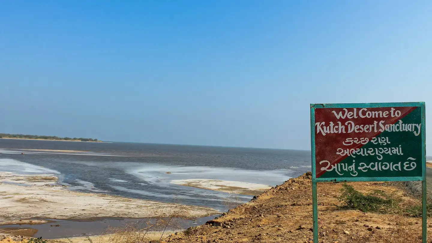 Rann Of Kutch Tour Package