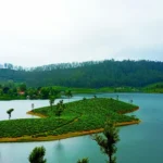 Tamil Nadu Tour