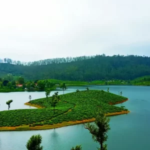 Tamil Nadu Tour