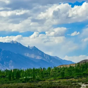 Leh Ladakh Tour Package