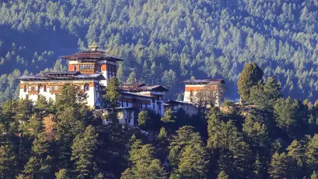 Gangtey Tour Package