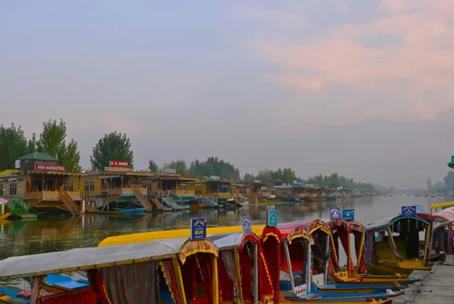 Srinagar Tour Package