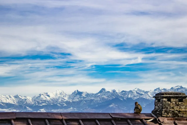 Dalhousie Tour Package
