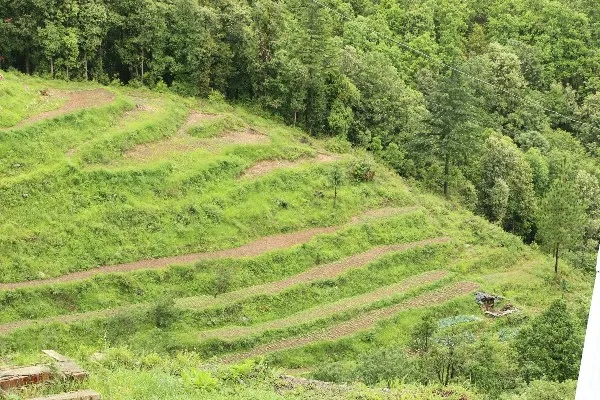 Ranikhet Tour Package