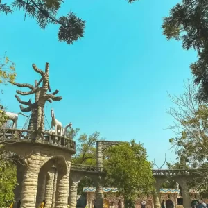 Chandigarh Tour Package