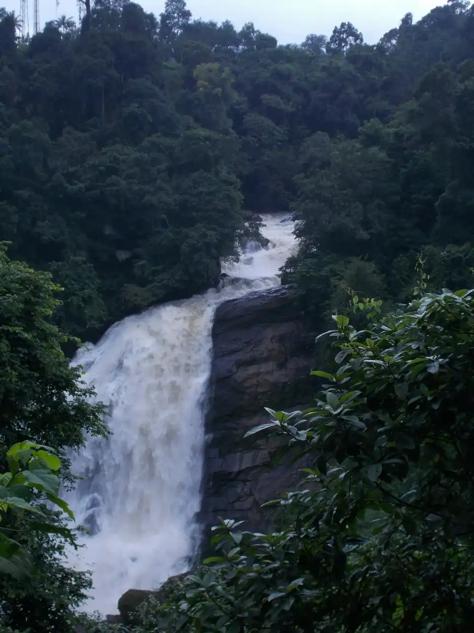Mannar Tour Package
