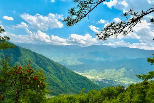 Paro Tour Package