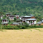 Punakha Tour Package