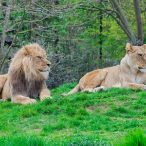 Paris Zoo trip