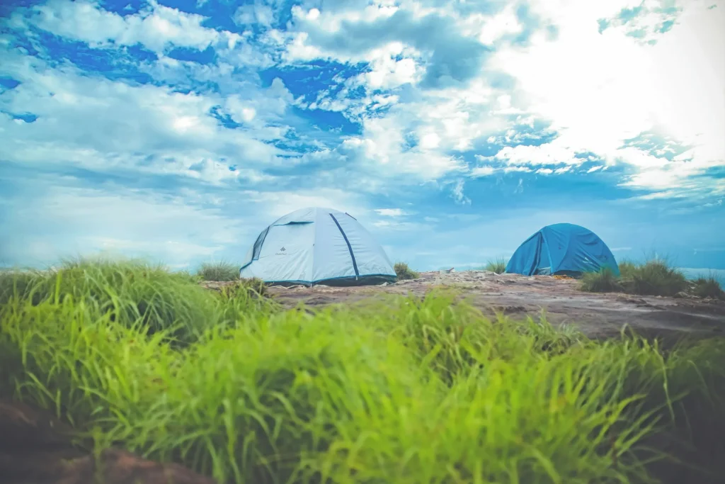 Wayanad Tour package
