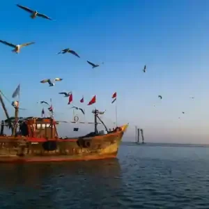 Dwarka Tour Package