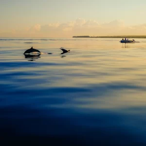 Mauritius Tour Package