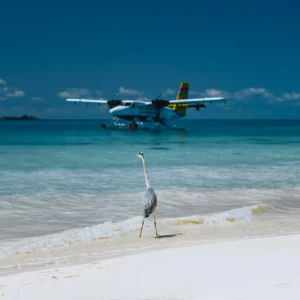Maldives Tour Package