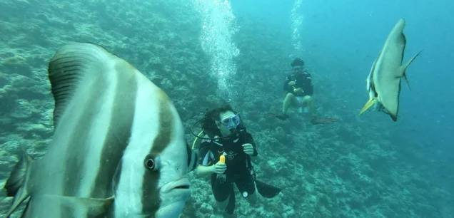 Dolphin Cruise