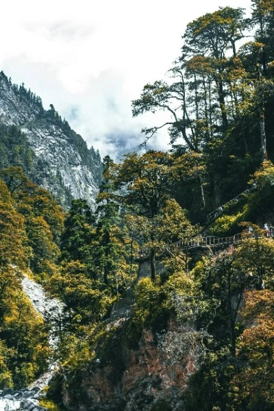 Yamunotri Tour Package