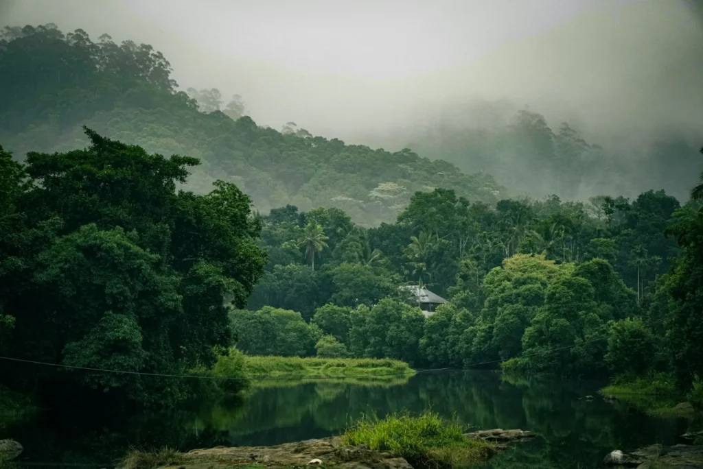 Thekkady Tour Package