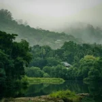 Thekkady Tour Package