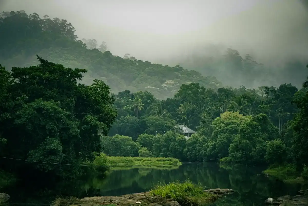 Thekkady Tour Package