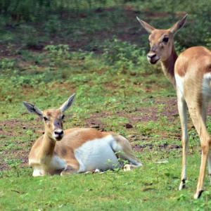 Chhattisgarh Tour Package