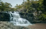 Jharkhand Tour Package