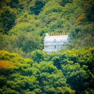 Tripati Tour Package