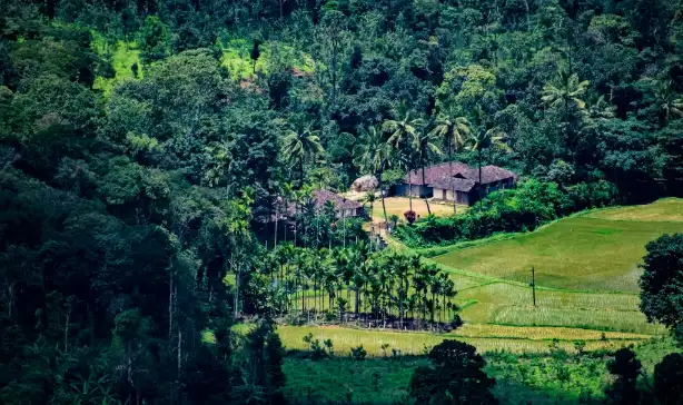Coorg Tour Package