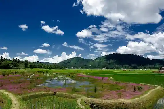 Ziro Valley Tour Package