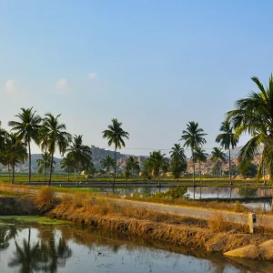 Hampi Tour Package