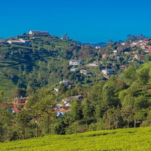 Ooty Tour Package