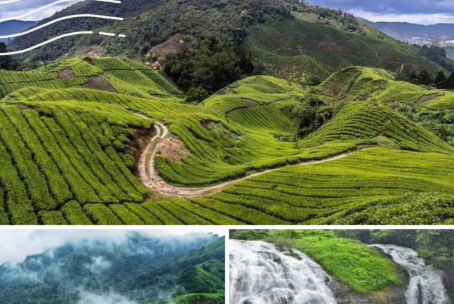 Coorg Packages from Mysore