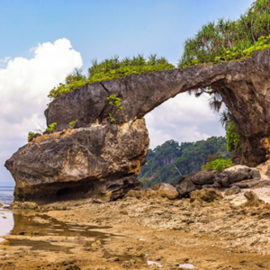 Andaman Adventure Package